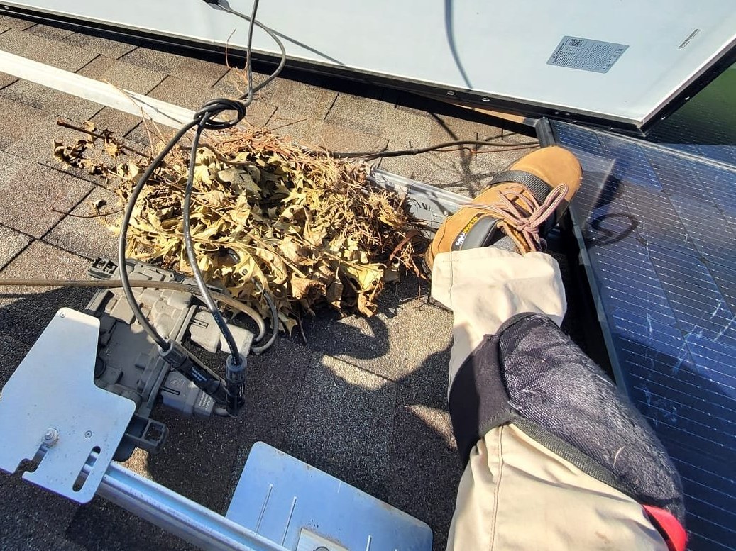 Nesting debris and chewed wiring found underneath a solar array before critter guard installation